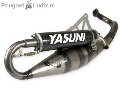 Yasuni R Peugeot Ludix - Carbon