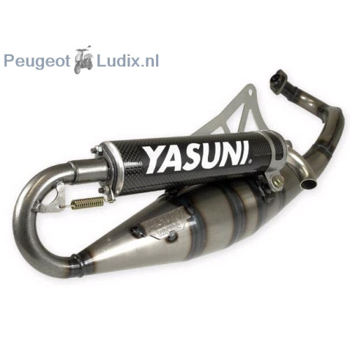 Yasuni R Peugeot Ludix - Carbon