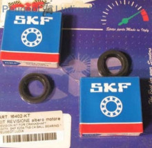 Krukaslagers en keerringen - SKF - C4 Kunstof kooi